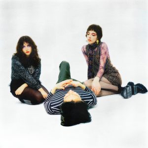 The-Velveteers-by-Jason-Thomas