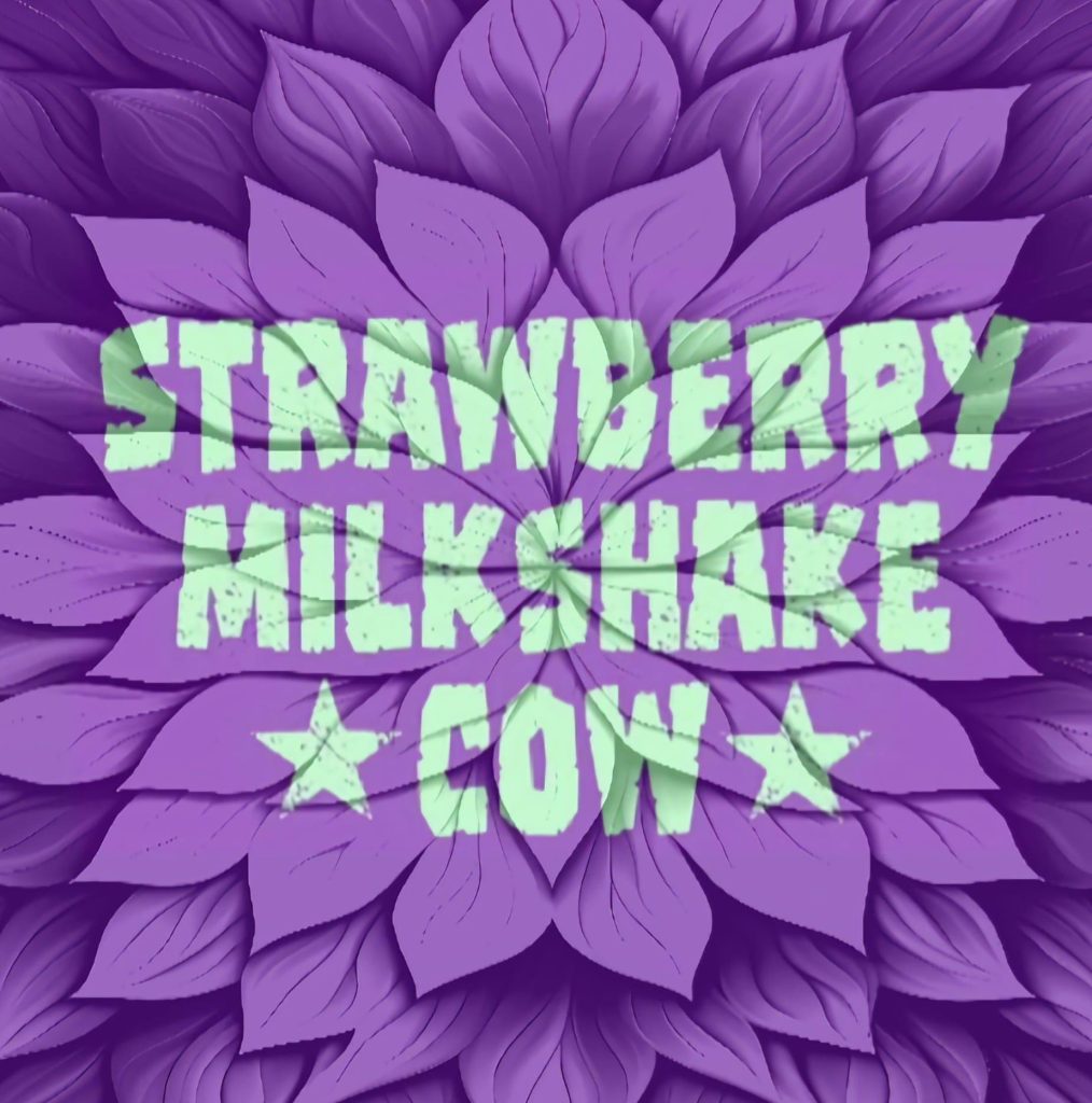 Strawberry Milkshake Cow