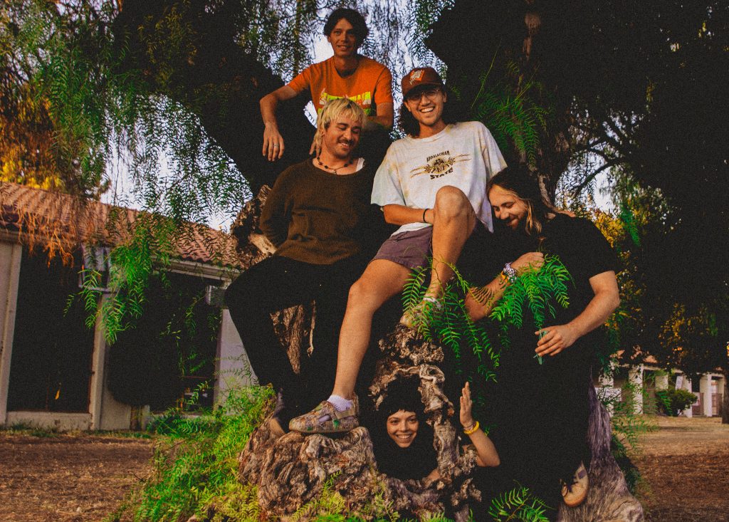 AveryMorgan Fullband