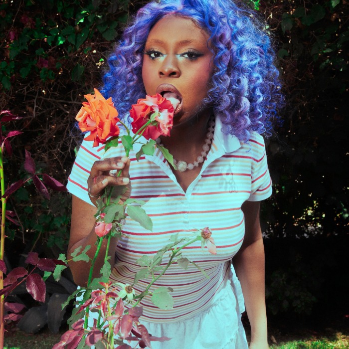 hemlocke springs Treefort Music Fest Boise