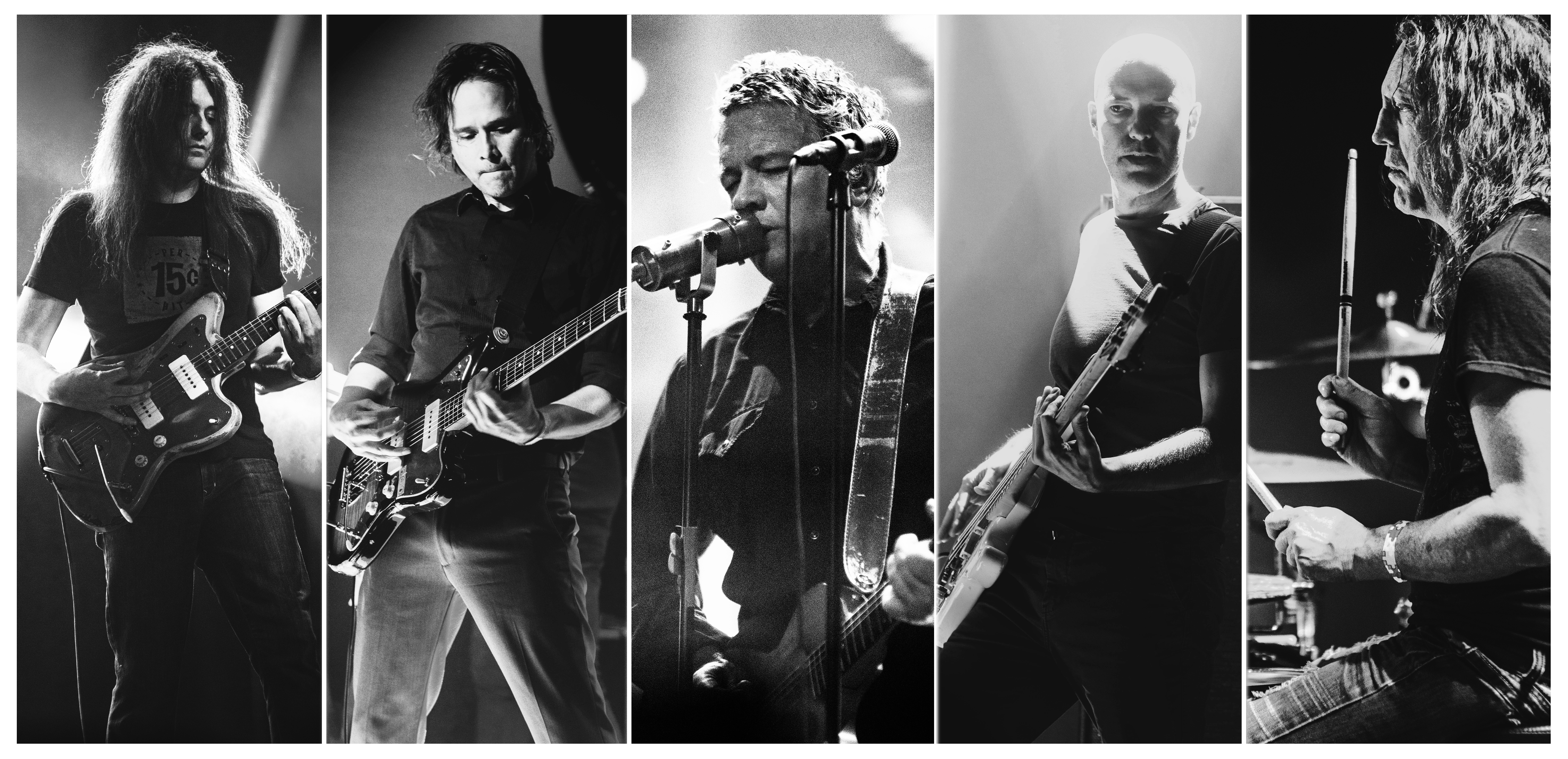 Tripping Daisy Neurolux Boise